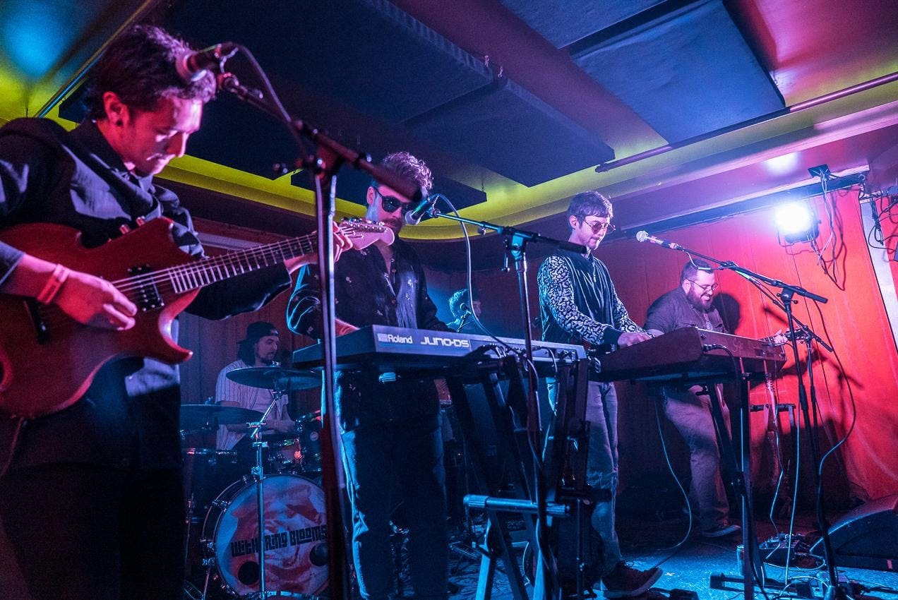 Top 3 Music Venues In Bellingham The Arizona Tribune