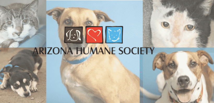 Arizona Humane Society help in adopting pet