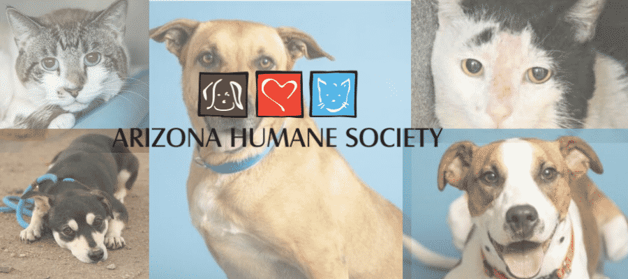 Arizona Humane Society help in adopting pet