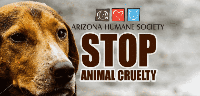Historic New Anti-Cruelty Law to be Effective
