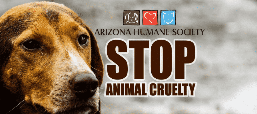 Historic New Anti-Cruelty Law to be Effective